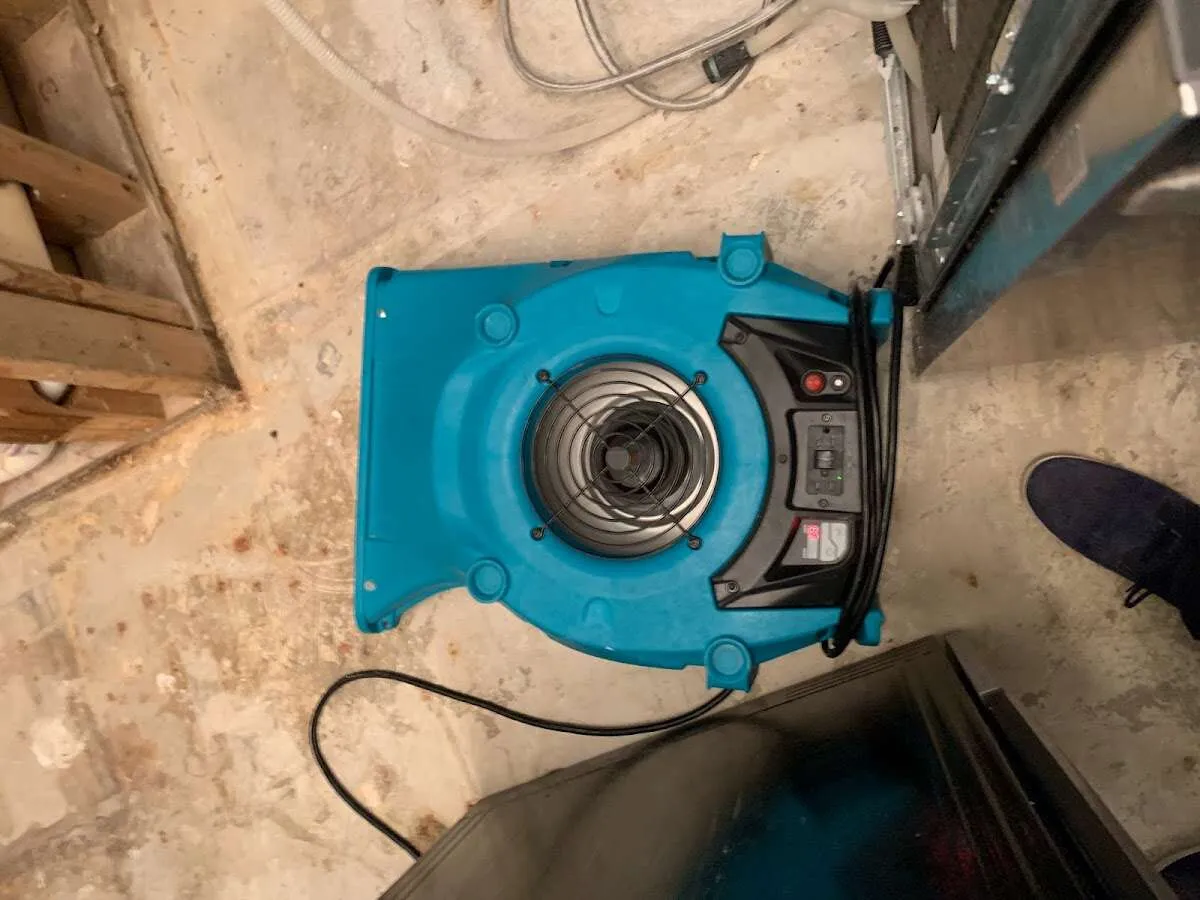 Air mover drying equipment for Mold Remediation & Removal in West Orange