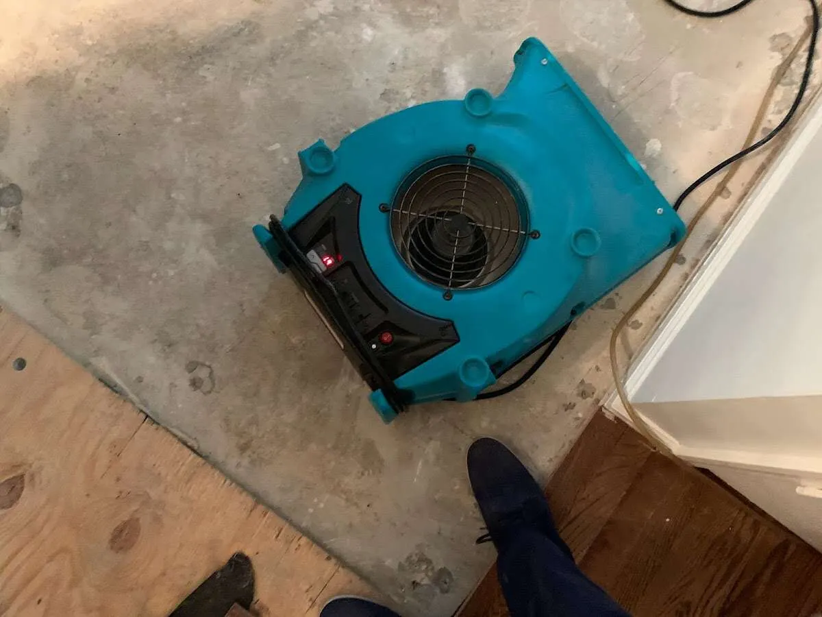 Air mover drying subfloor during Leak Detection & Repair in West Orange